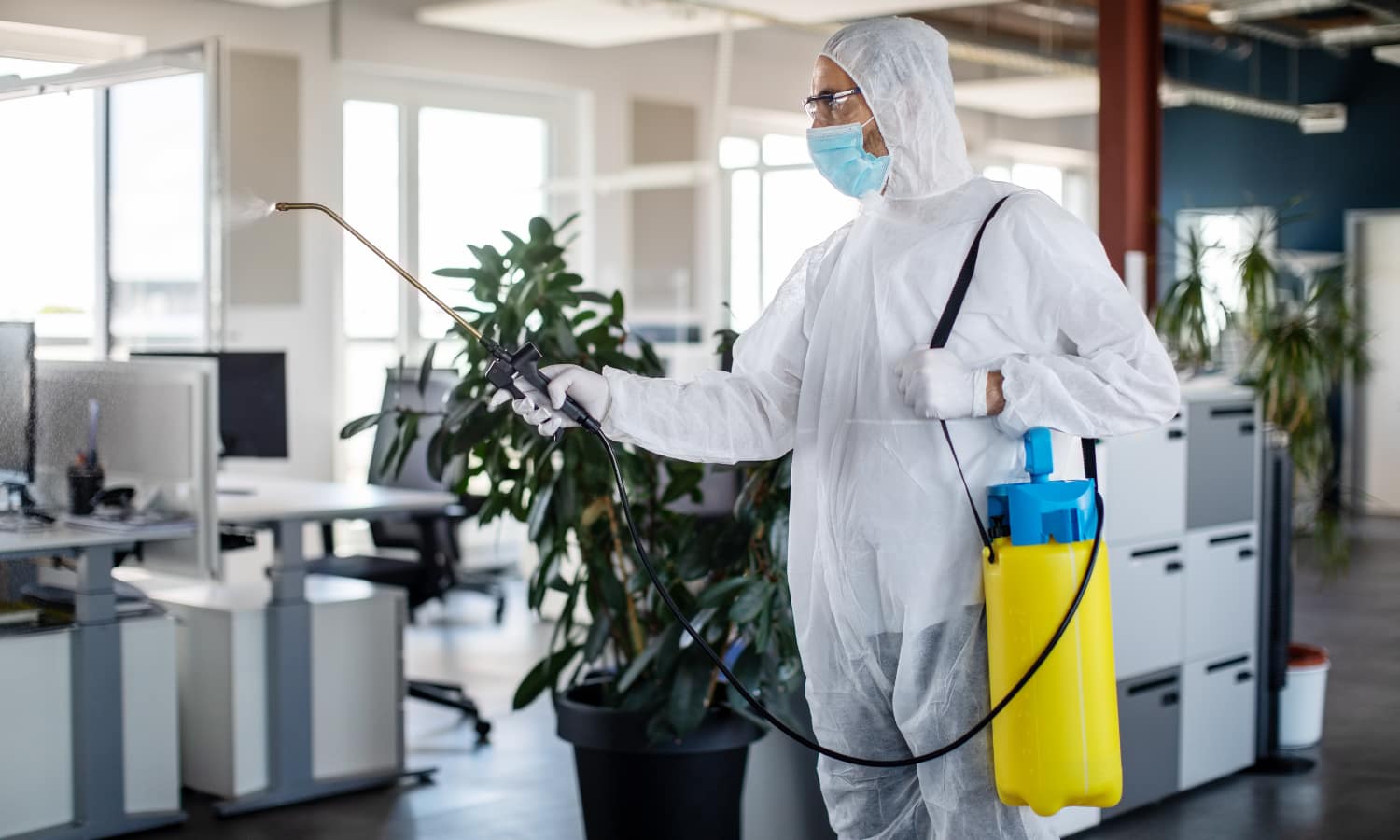 higienización y desinfección