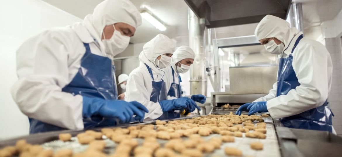 industria alimentaria
